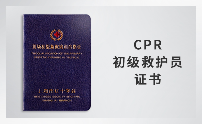 CPR 初级救护员证书