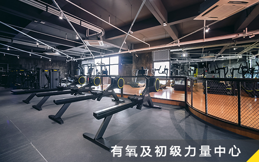 十一